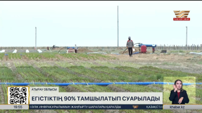 Атырау облысында егістіктің 90% тамшылатып суарылады