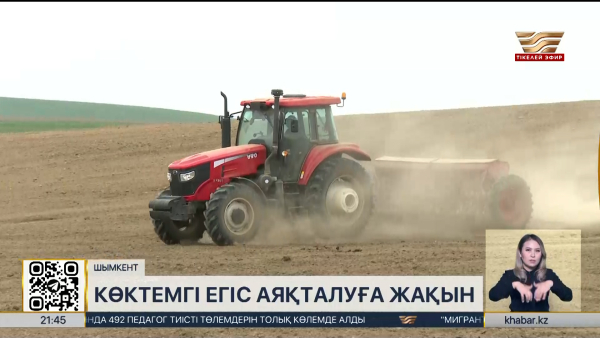 Шымкентте көктемгі егіс науқаны аяқталуға жақын