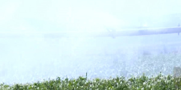 Партия &laquo;Ауыл&raquo; встретилась с сельхозпроизводителями Караганды