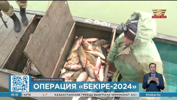 Операция &laquo;Бекіре -2024&raquo; проводится в Атырауской области