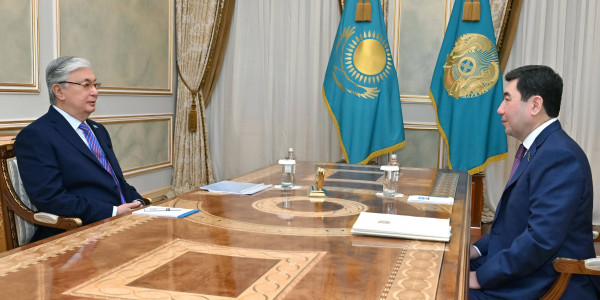 Глава государства принял Председателя Мажилиса Ерлана Кошанова