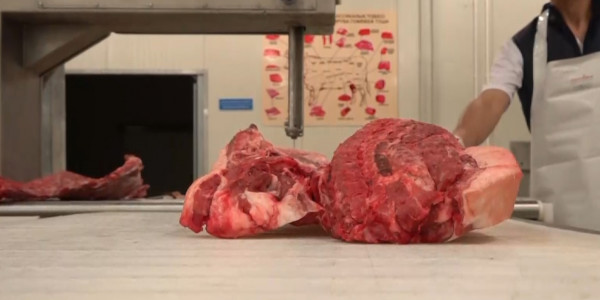 СҚО-дағы ет өңдеу кәсіпорындарының жартысы банкротқа ұшырады