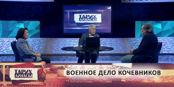 Военное дело кочевников. &laquo;Тарих айнасы&raquo;