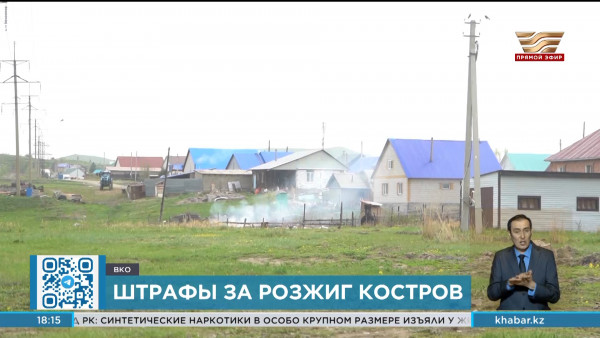Штрафы за сжигание сухой травы заплатят свыше 400 жителей ВКО