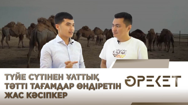 Түйе сүтінен ұлттық тәтті тағамдар өндіретін жас кәсіпкер. &laquo;Әрекет&raquo;