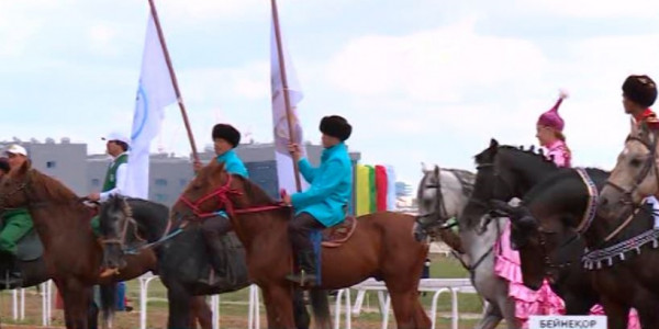 Ұлттық спортқа баулитын жаңа мамандықтар пайда болады