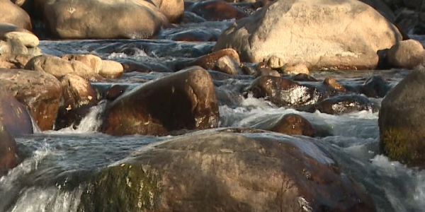 В РК появился новый национальный парк &laquo;Тарбагатай&raquo;