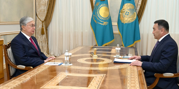 Глава государства принял председателя Комитета национальной безопасности Ермека Сагимбаева