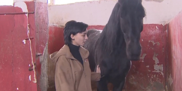 Каскадерша из Алматы выступает в цирке и снимается в американском кино&nbsp;