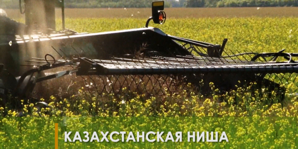 &laquo;Продвопрос&raquo;. Казахстанская ниша - первая отраслевая конференция. Цифровизация КазАгро. Выставка новых технологии