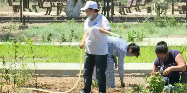 Движение &laquo;Серебряного волонтерства&raquo; набирает обороты в Казахстане