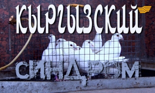 &laquo;Бюро расследований&raquo;. Кыргызский синдром