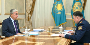 Глава государства принял министра внутренних дел Ержана Саденова