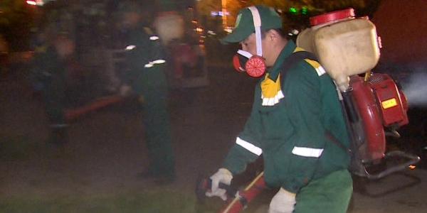 Елордалықтар мен шаһар қонақтары көшеде масаның көбейгендігіне шағымданып жатыр