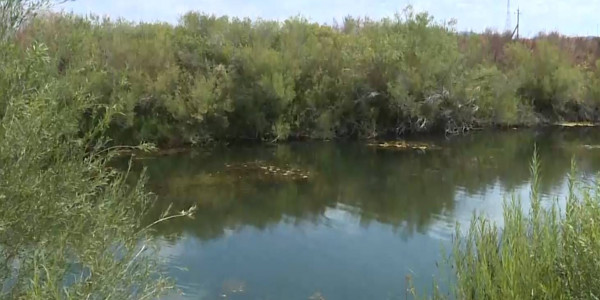 Для решения дефицита воды нужен единый орган управления водными ресурсами