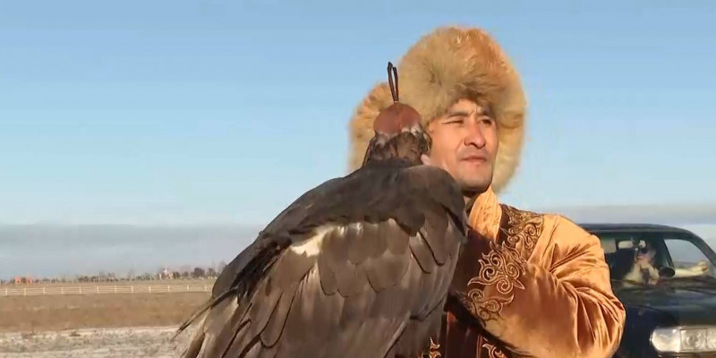 Состязания по охоте с ловчими птицами начались в Кокшетау