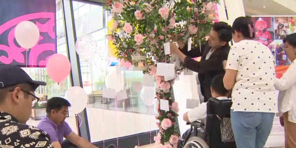 Елордада &laquo;Армандар ағашының&raquo; ресми ашылу салтанаты өтті