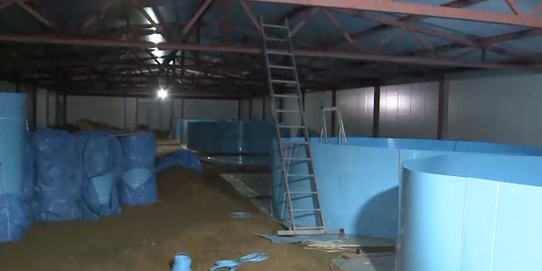 Товарное рыбоводство развивают в Костанайской области