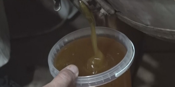 Омарташылық оңды бизнес болғалы тұр