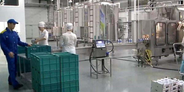 Более 160 тысяч казахстанцев могут остаться без работы