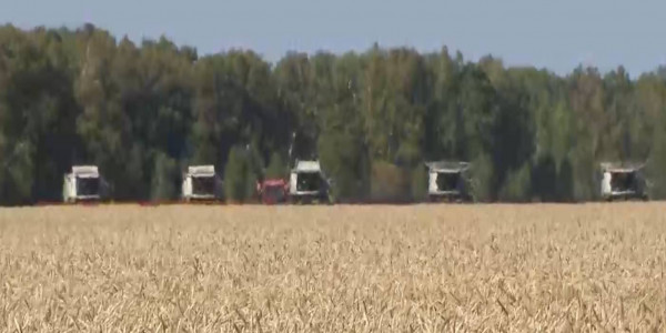 3 млн гектаров неиспользованных земель вернули в собственность государства