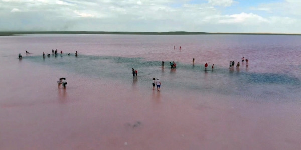 Қызғылт көл Көбейтұзға қауіп төнді