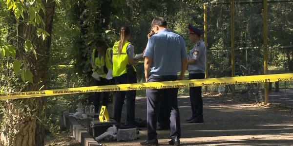 Олимпиада жүлдегері, ҚР Еңбек сіңірген спорт шебері Денис Тен дүние салды