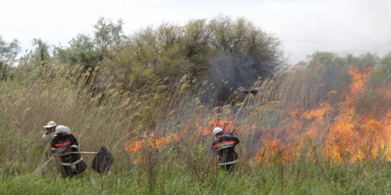 57 лесных и степных пожаров произошло за двое суток в Казахстане