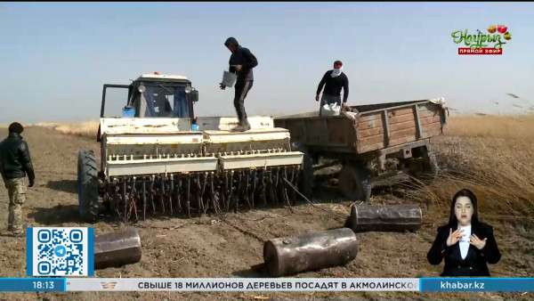 Земледельцы Кызылординской области приступили к посевной