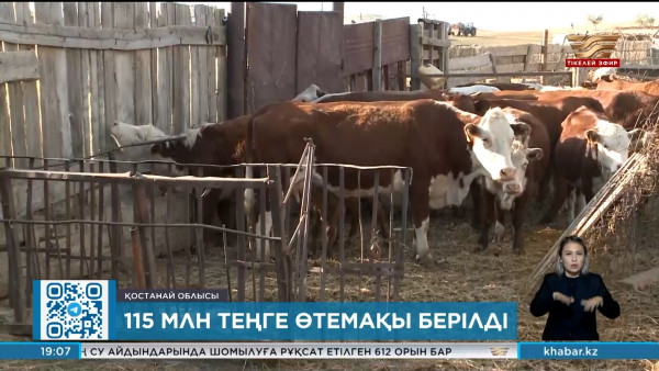 Арқалық бойынша мал шығыны үшін ₸115 млн өтемақы төленді