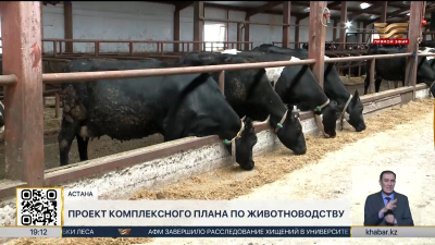 Правительство одобрило проект Комплексного плана развития животноводства до 2030 года