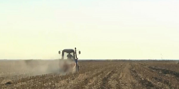 Отырар ауданында ауыл шаруашылығы саласына жаңа технологиялар енгізіле бастады