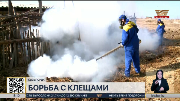 Свыше 900 человек пострадали от укусов клещей в Кызылординской области