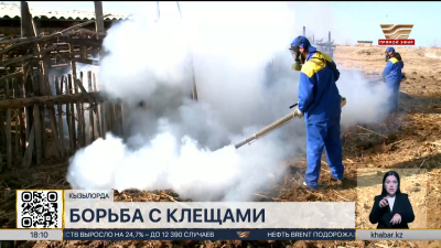 Свыше 900 человек пострадали от укусов клещей в Кызылординской области