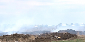 Жители пригородного села Ясное в Актобе задыхаются от зловония