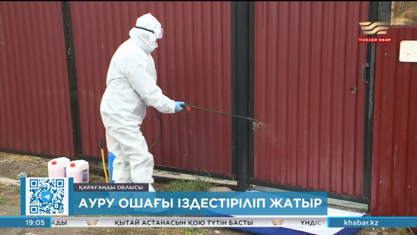 Қарағанды облысындағы қараталақ ауруының ошағы іздестіріліп жатыр