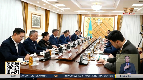 В Сенате обсудили ключевые направления Конституционной реформы