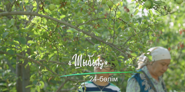 &laquo;Шашу&raquo;. &laquo;Шыбық&raquo; 24-бөлім