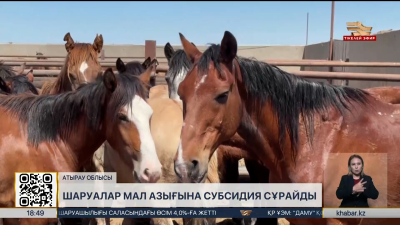 Атыраулық шаруалар мал азығына субсидия сұрайды