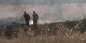 При тушении степного пожара в Алматинской области погибли 3 человека