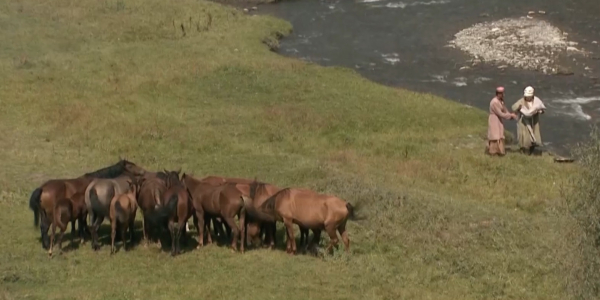 С 12 марта в кинотеатрах выходит исторический фильм &laquo;Батырлар&raquo;