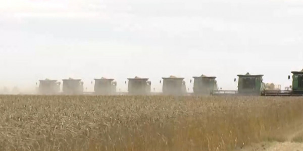 Председатель партии &laquo;Ауыл&raquo;: В Казахстане не хватает дешёвого топлива