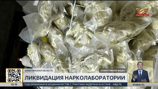 Подпольную нарколабораторию ликвидировали в Алматинской области
