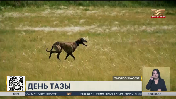 День тазы впервые отмечают в Казахстане