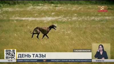 День тазы впервые отмечают в Казахстане