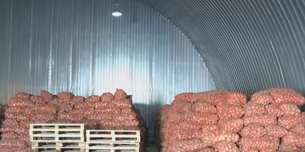 В Алматы продукты питания поставляются в полном объеме