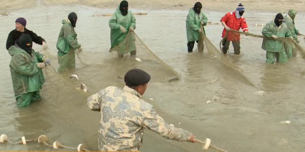 Жайықтағы балық аулау мәселесі шешімін тапты