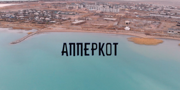 &laquo;За что я люблю Казахстан и казахстанцев&raquo;. Апперкот