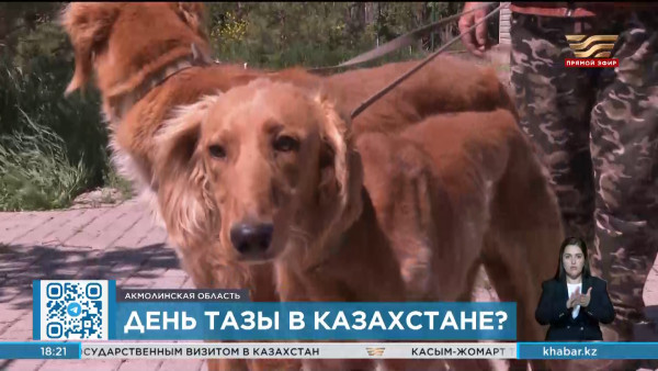 День тазы предлагают утвердить в Казахстане