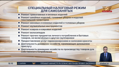 Самозанятые казахстанцы смогут применять спецналоговый режим по 40 видам деятельности